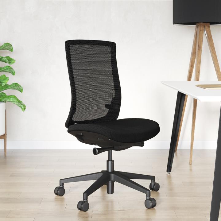 Actual product image ofinto Ergo