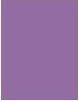 Actual product image Rimmel London Kind & Free Clean Eye Definer (003 Grape)