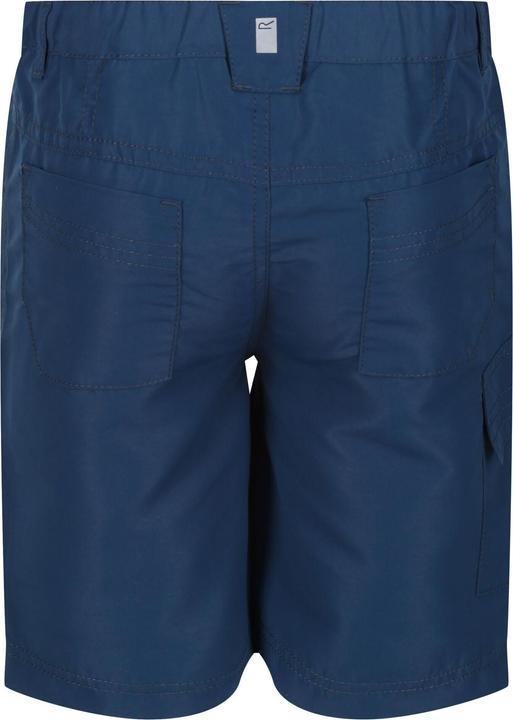 Actual product image Regatta Sorcer Ii Shorts (146)