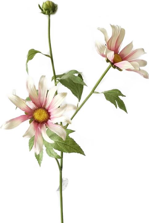 Immagine prodotto HTI-Living Chrysantheme 74 cm Hellrosa (74 cm)