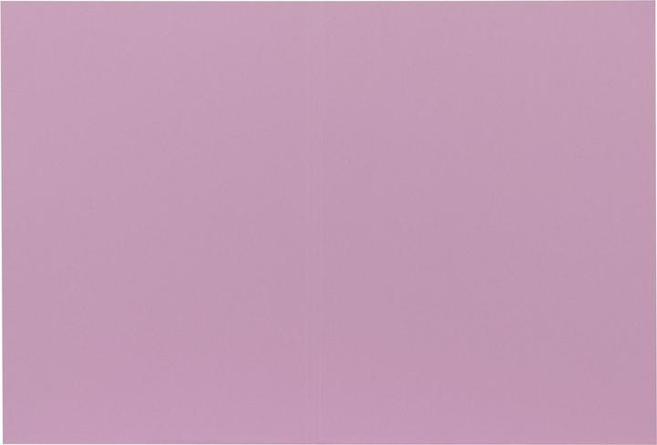 Image du produit Biella Chemise verticale Recycolor 0253427.41 32x23,3/24,3cm, violet 100 pcs. (A4, 100 x)