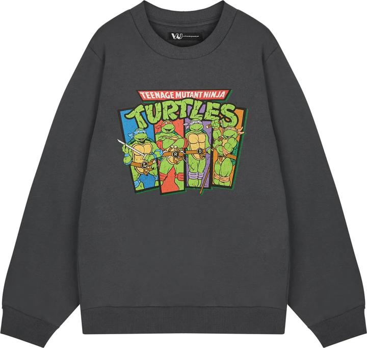 Teenage Mutant NT Sweatshirt (M)