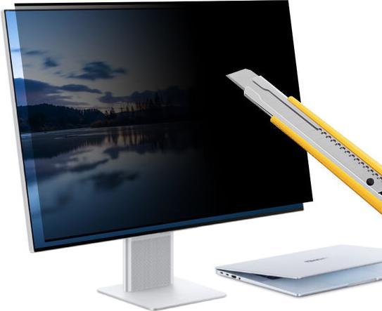 Actual product image FreeVoice Privacy Filter Monitor(34"'-21:9) - 346*806mm (34", 21 : 9)