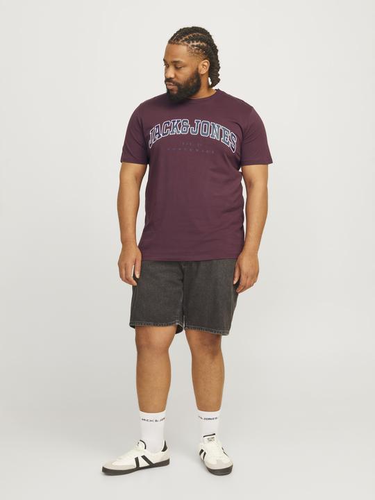 Immagine prodotto Jack & Jones Jjecaleb Varsity Tee Ss O-Neck Noos Pls (XXL)
