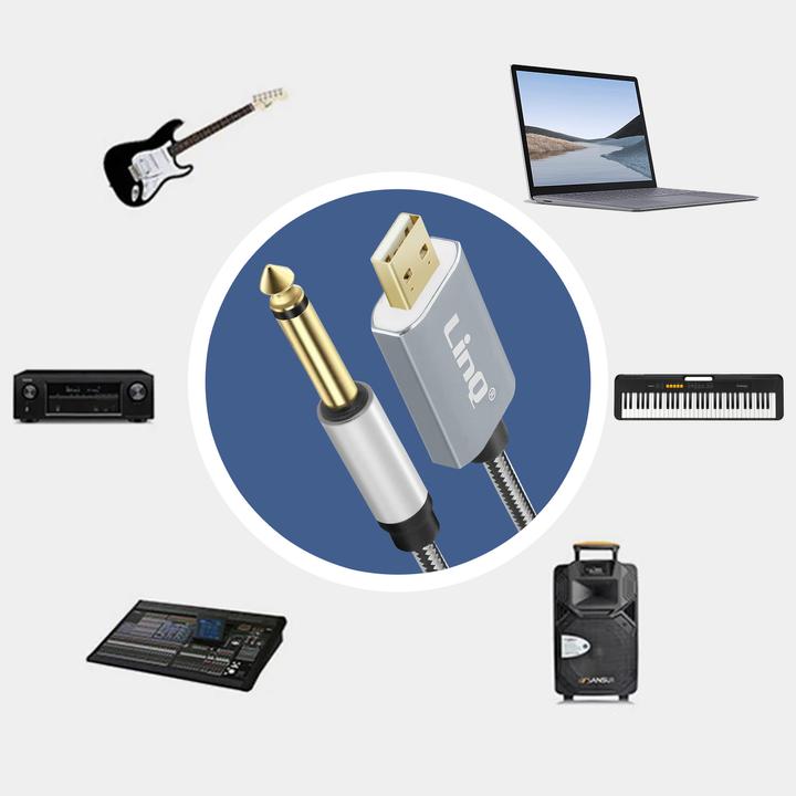 Actual product image LinQ USB / 6.35mm jack audio cable (3 m)