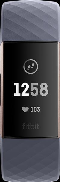 Actual product image Fitbit Charge 3 (28.80 mm)