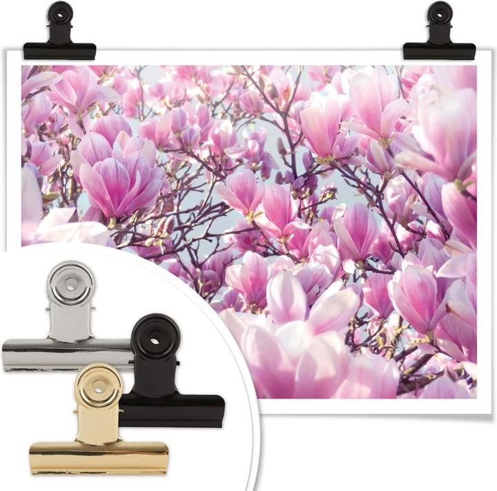 Produktbild Trenddeko Magnolienbaum (40 x 30 cm)