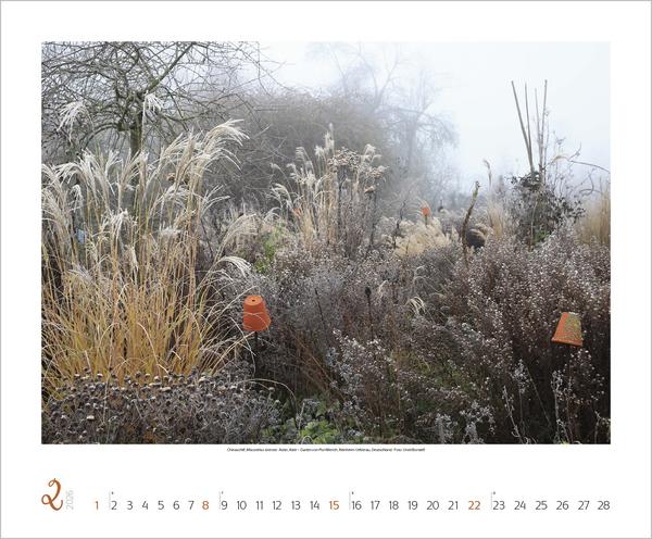 Produktbild Gartenträume 2026 (Englisch, Französisch)