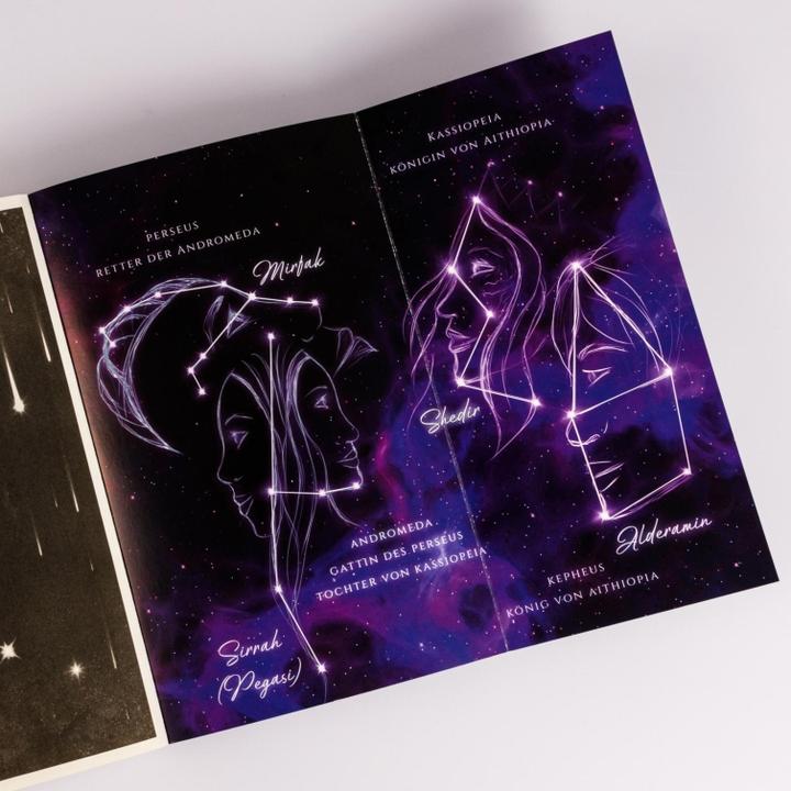 Actual product image Legacy of Stars 2: Gefallene Finsternis (German, Dana Müller-Brown, 2025)