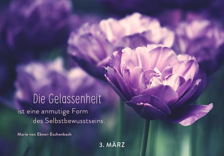 Produktbild 365 mal Gelassenheit (Harter Einband, Deutsch)