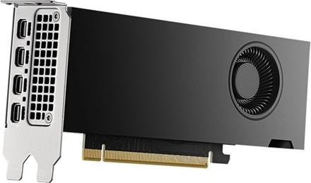Actual product image Dell NVIDIA RTX 2000 Ada Generation 16GB GDDR6 half height PCIe 4.0x8 4 mDP Graphics Card (16 GB)