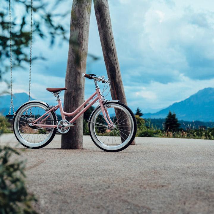 Actual product image Siech Cycles Children's bike (20")