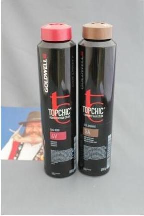 Image du produit Goldwell Topchic (6-SB brun argenté)