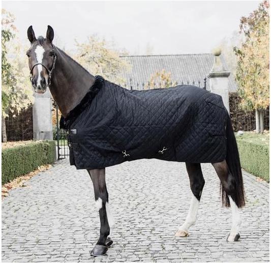 Produktbild Kentucky Horsewear Stalldecke 0g (155 cm)