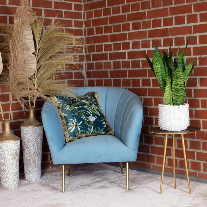 Produktbild Flowerbox Bogenhanf - Sansevieria zeylanica (65 cm)