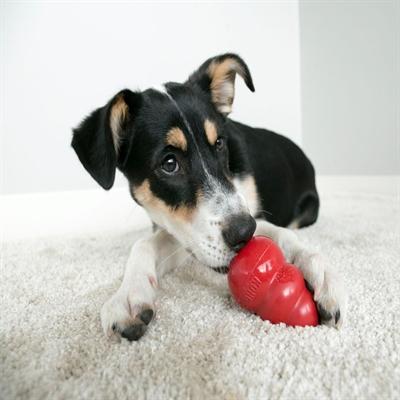 Produktbild KONG Classic (Apportieren, Futterspielzeug Hund, Kauspielzeug Hund)