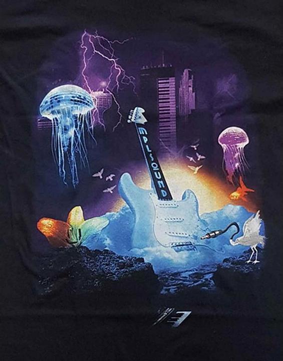 Actual product image Prince TShirt (M)