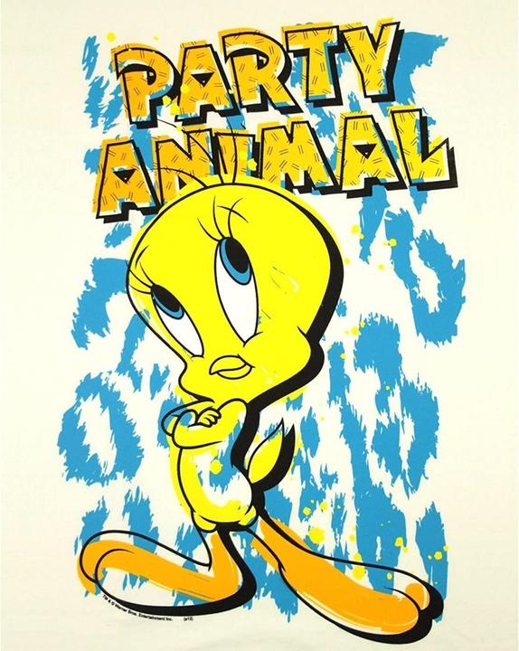 Actual product image Looney Tunes Womens/Ladies Party Animal Tweety Pie Tunic (L)