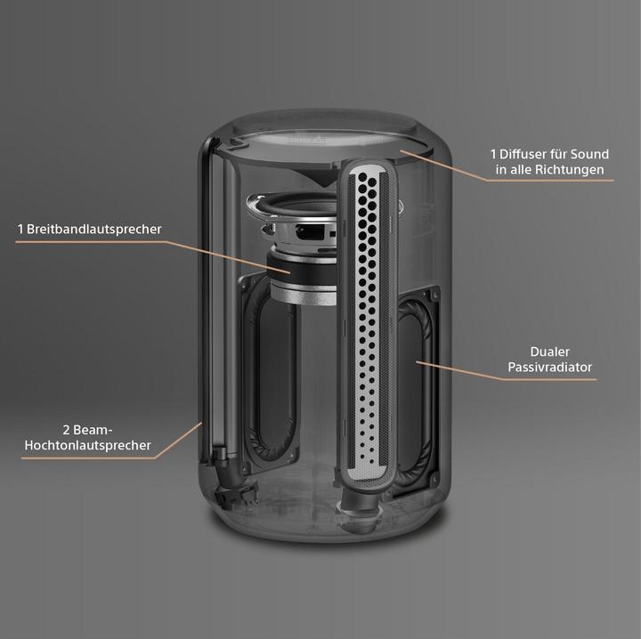 Actual product image Sony SRS-RA3000 (Electrical connection)
