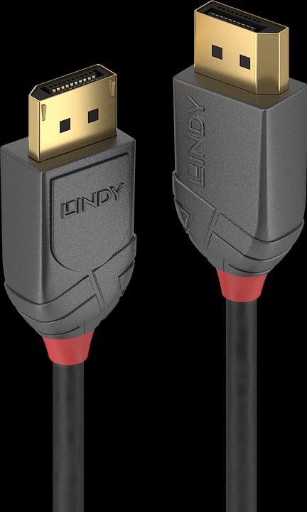 Lindy DisplayPort — DisplayPort (2 m, DisplayPort)