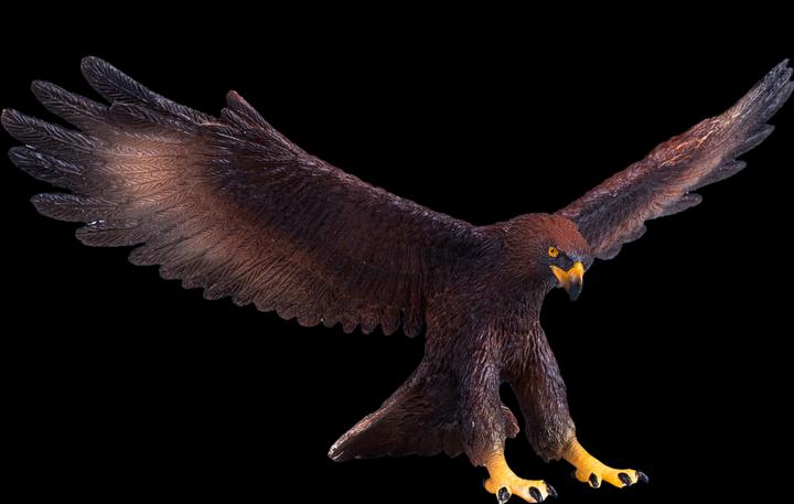 Image du produit Mojo Faune Aigle royal