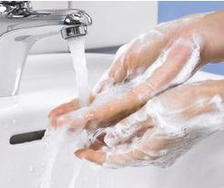 Produktbild Tork Schaumseife mild duftende Handseife (Seifenlotion, 525 ml)