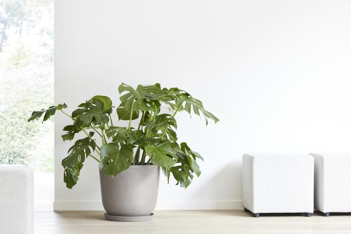 Produktbild Ecopots Oslo (55 cm)