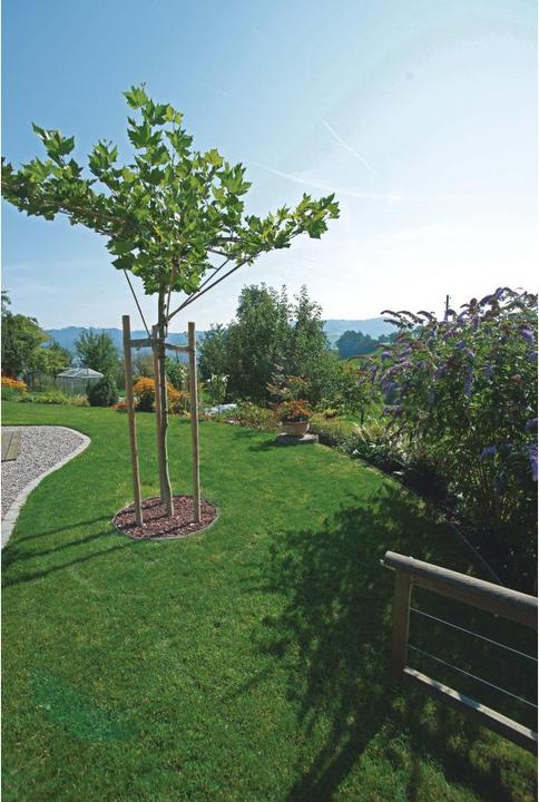 Produktbild Neogard EasyFix Rasenkanten (200 cm)