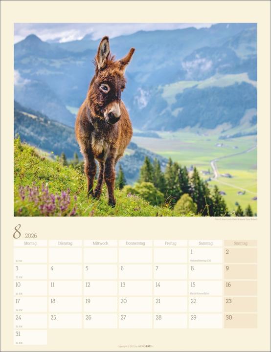 Produktbild Esel Kalender 2026 (30 x 39 cm, Deutsch)