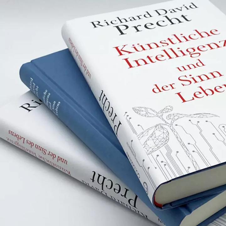Actual product image Künstliche Intelligenz und der Sinn des Lebens (German, Richard David Precht, 2020)