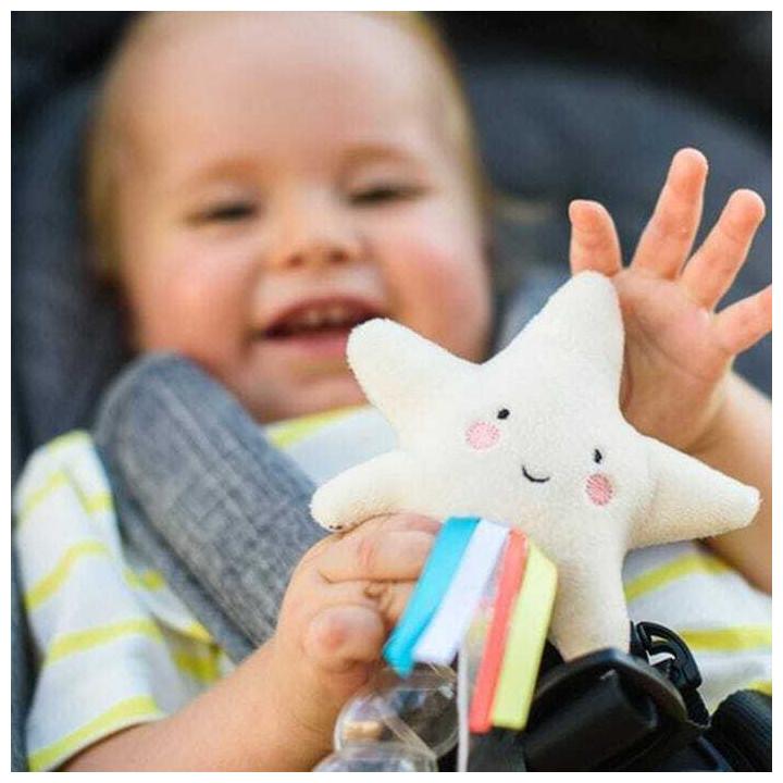 Produktbild Taf Toys Regenmacher Stern