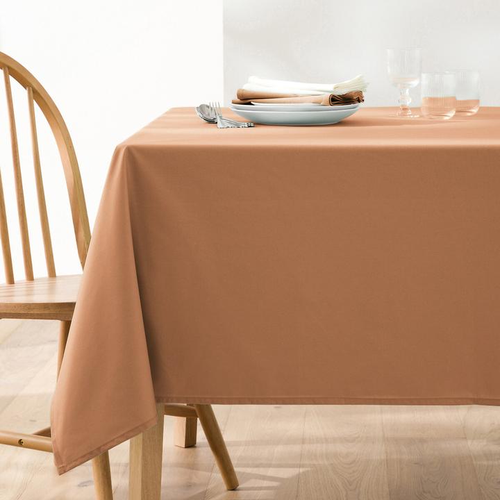 Image du produit La Redoute Interieurs Nouveau Coton Enduit (150 x 300 cm)