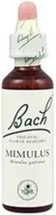 Actual product image Bach Rescue Bach 06 Cherry Plum 20ml (20 ml)