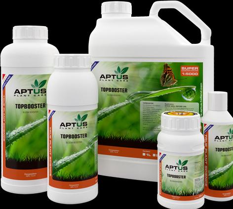 Image du produit Aptus Topbooster (0.54 kg, 0.50 l)