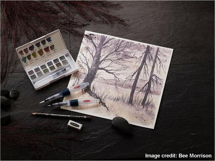 Image du produit Derwent Graphitint 12 pan set (Blanc)