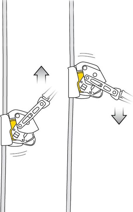 Actual product image Petzl Asap Lock