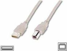 Produktbild Digitus ASSMANN USB2.0 Anschlusskabel 1,8m USB A zu USB B AWG28 beige bulk (1.80 m, USB 2.0)