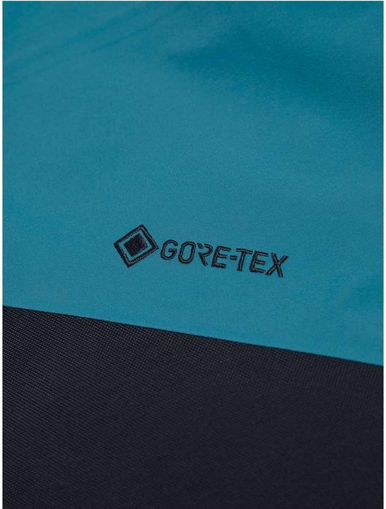 Actual product image Peak Performance Alpine GORE-TEX Pants (L)