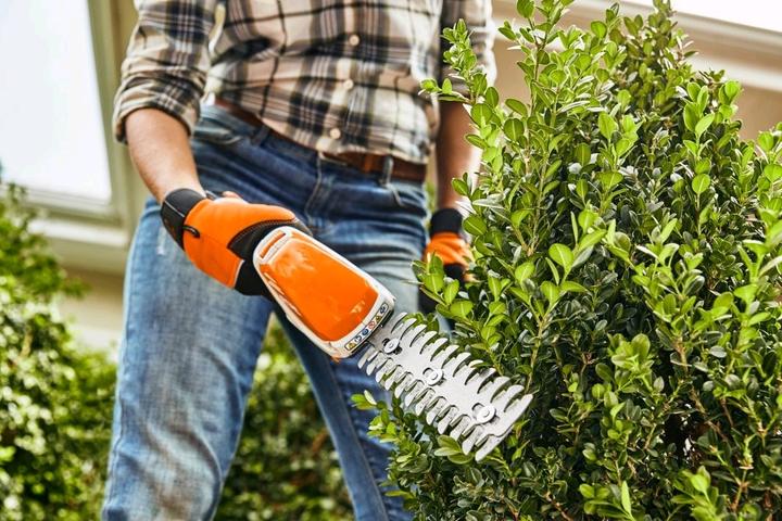 Actual product image Stihl Battery Grass & Shrub Shears HSA 26 - with battery AS2 and charger AL1 (Electric hedge trimmer)