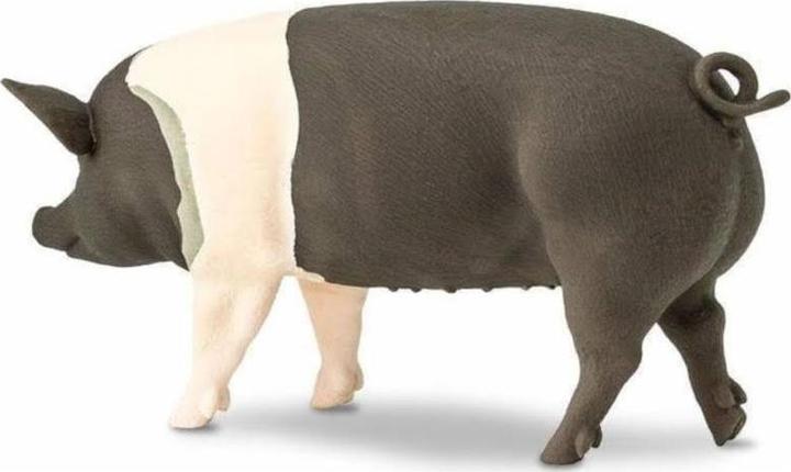 Produktbild Safari Hampshire-Schwein