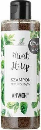 Actual product image Anwen Mint It Up Hair Scrub Shampoo (200 ml, Liquid shampoo)