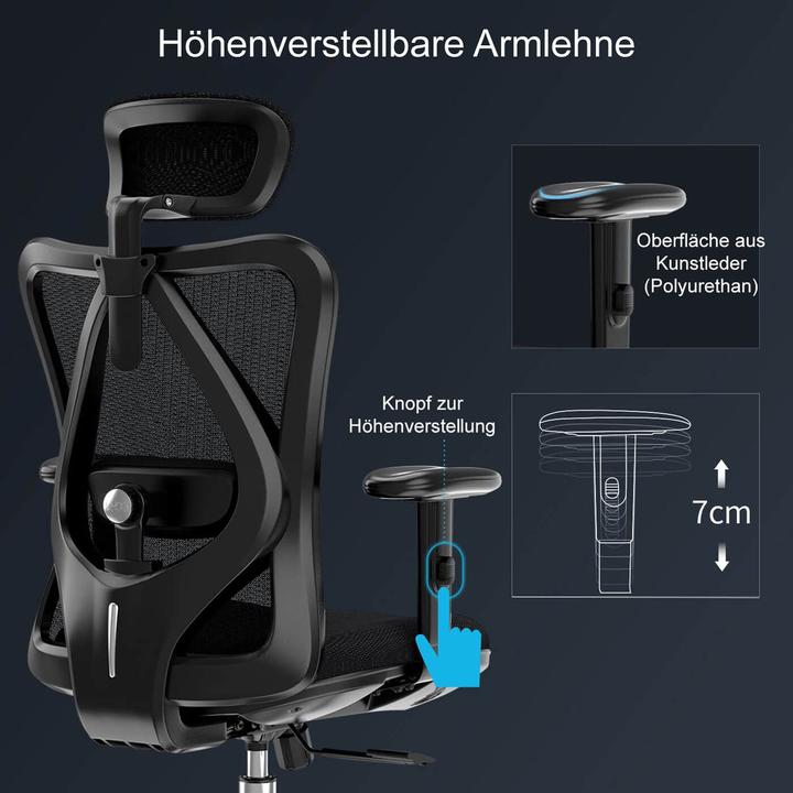 Image du produit Sihoo Chaise de bureau avec soutien lombaire