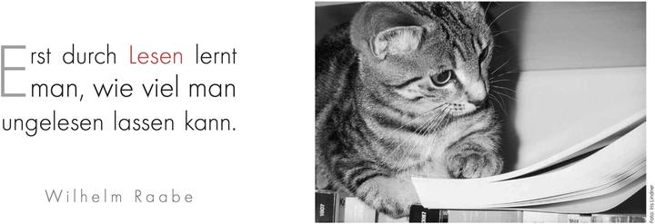 Produktbild Der literarische Katzen Wochenplaner 2025 (Deutsch)