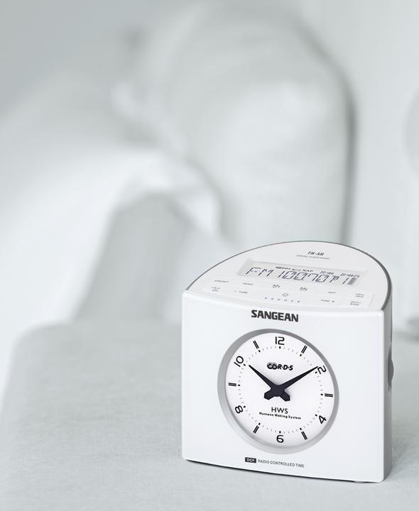 Actual product image Sangean Rcr-9