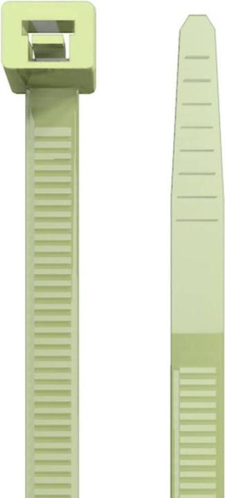 Produktbild Weidmüller Kabelbinder (200 mm, 100 Stk.)