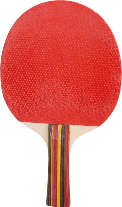 Actual product image Winfun Ping-Pong Racket 1 Smooth/Pink Surface