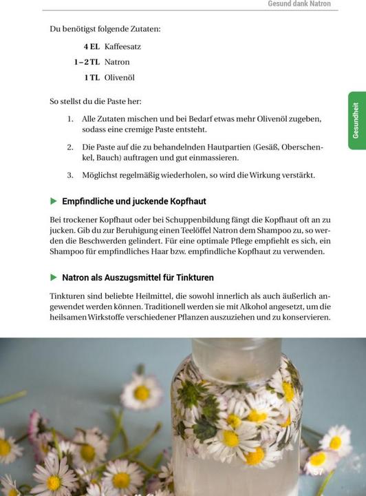 Actual product image Das Natron-Handbuch (German, smarticular publishing house, 2018)