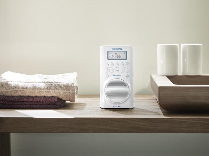 Actual product image Sangean H205d (DAB+, FM, Bluetooth)