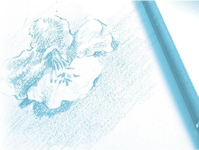 Actual product image Clairefontaine Dry techniques