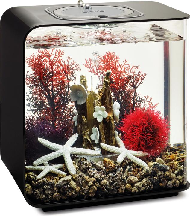 Image du produit Oase BiOrb Aquarium 15 Set décoratif (Décoration, autres éléments)